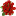cvety-ekvador.ru favicon
