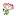 cvety-krd.ru favicon