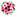 cvetysurgut.ru favicon
