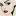 daimnevizu.ru favicon