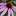 dalisnt.ru favicon