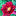 dana-rukodelnica.ru favicon
