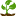 danika-seeds.ru favicon