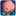 dantinorm.ru favicon