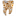 dantistoff.ru favicon