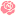 dari-cveti37.ru favicon