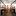 dariabodrova.ru favicon