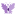 darsy-wed.ru favicon