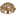 darvino.ru favicon