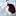 darykova.ru favicon