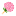 dcvetov.ru favicon