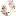 de-la-rose.ru favicon