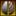 derevo-bruski.ru favicon
