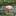 deulino-sad.ru favicon