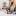 developmentexspert.ru favicon