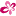 diantus.biz favicon