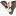 digit78.ru favicon