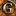 dinagumerova.ru favicon
