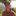 disaldaeva.ru favicon