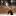 discdogs.ru favicon