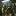 discotorg.ru favicon