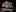 divniy-club.ru favicon