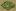 dkmoto.ru favicon