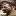 dntd.ru favicon