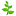 docraeva.ru favicon