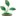 doctor-forest.ru favicon
