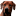 dogmk.ru favicon