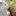dogsmo.ru favicon