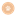 dogtrenermsk.ru favicon