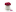 dolgoflowers.ru favicon