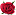 dolinaroz.ru favicon