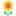 dom-na-voznesenskoi.ru favicon