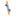 donarosa.ru favicon