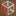 dontara.ru favicon