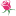 dostavka-cvetov-56.ru favicon