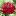 dr-4.ru favicon