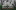 duetolove.ru favicon