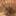 dvabrevna.ru favicon