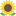 dzp-edinyi.ru favicon
