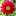 earth-flowers.ru favicon
