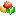 ecdom.ru favicon