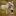 ekaterinaphoto.ru favicon