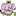 elefantiya.ru favicon