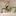 elenacontent.ru favicon