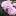 elenniksad.ru favicon