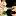 elensphoto.ru favicon